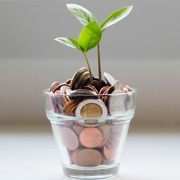 money-circle